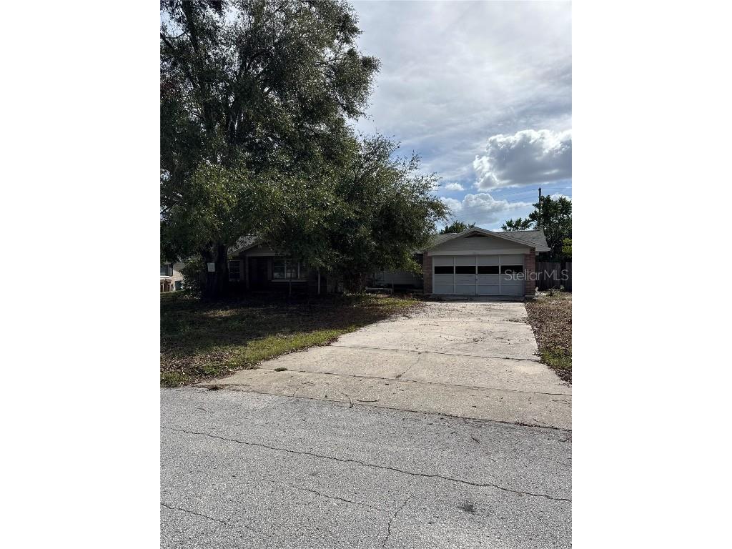 2680 Palmetto Road Mount Dora FL 32757 O6265621 image1