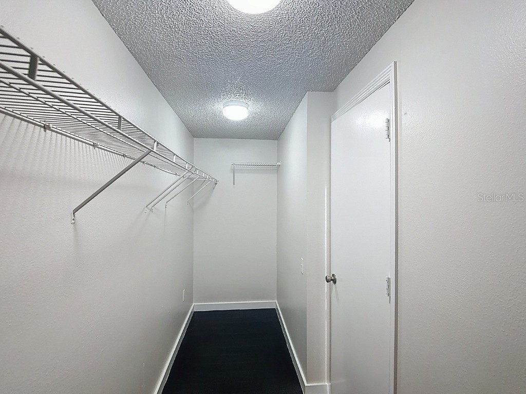 26800 Affirmed Drive Wesley Chapel FL 33544 TB8440313 image17