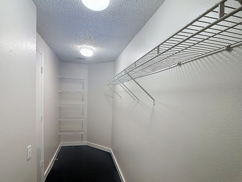 26800 Affirmed Drive Wesley Chapel FL 33544 TB8440313 image18