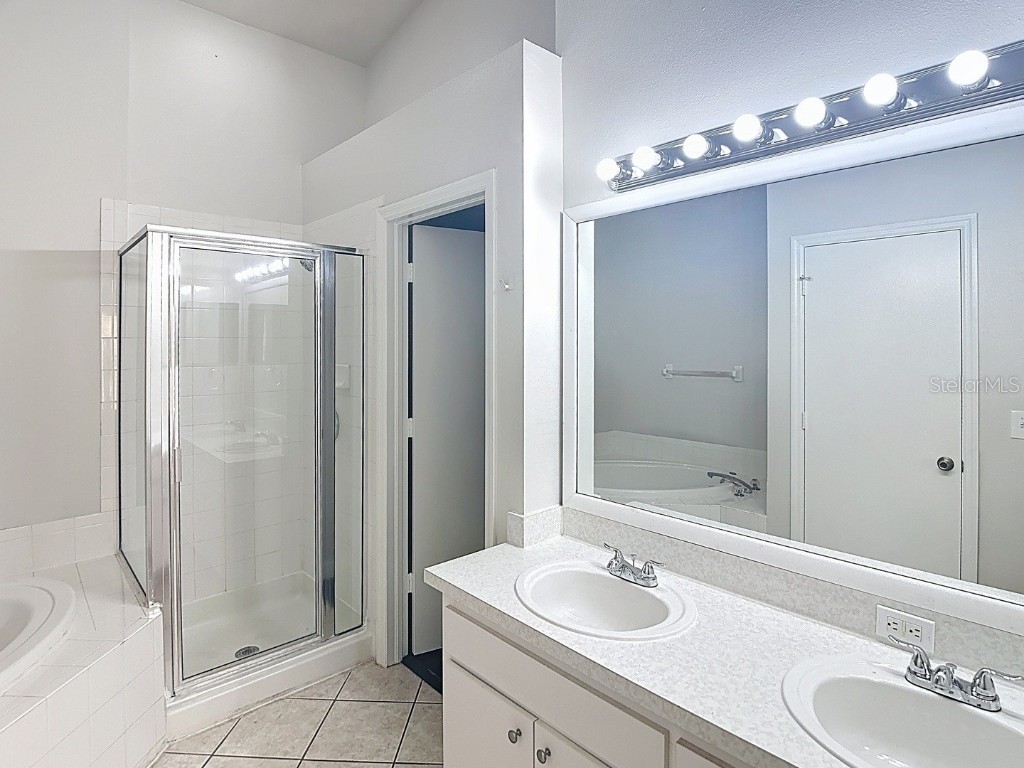 26800 Affirmed Drive Wesley Chapel FL 33544 TB8440313 image19