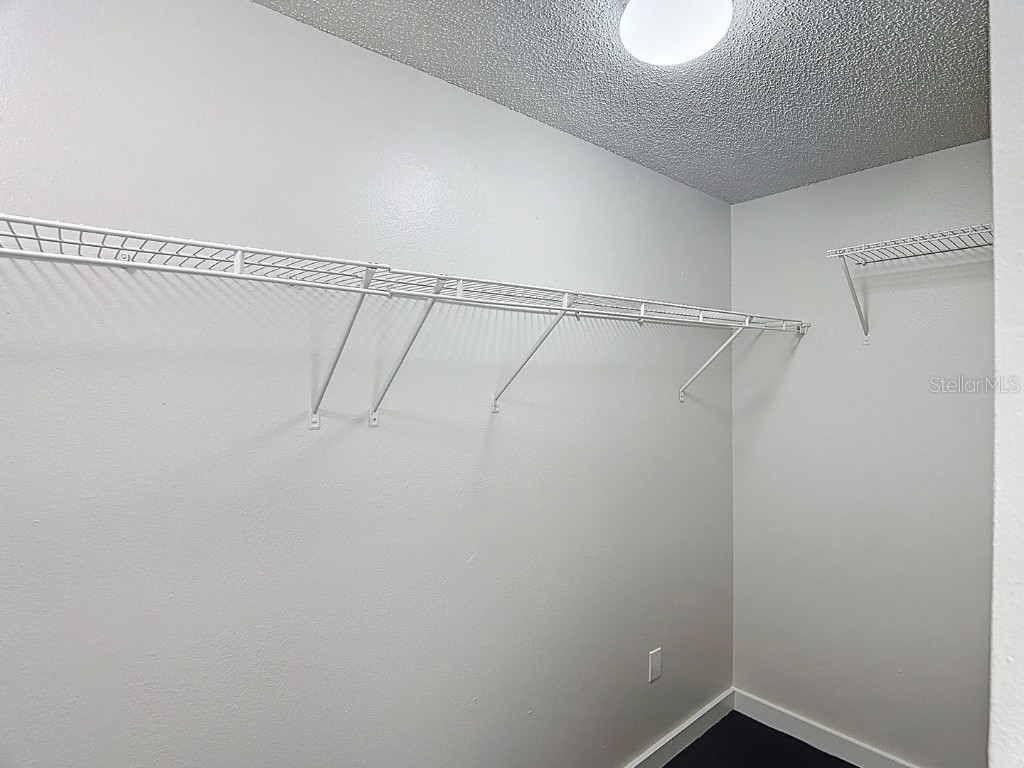 26800 Affirmed Drive Wesley Chapel FL 33544 TB8440313 image22