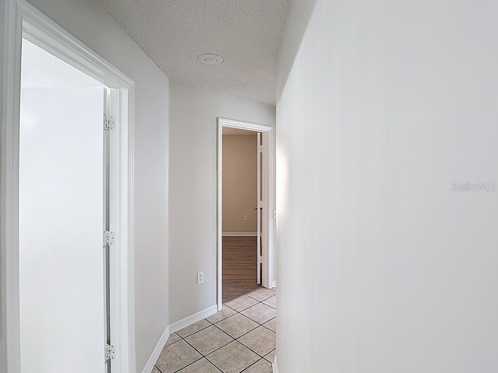 26800 Affirmed Drive Wesley Chapel FL 33544 TB8440313 image23