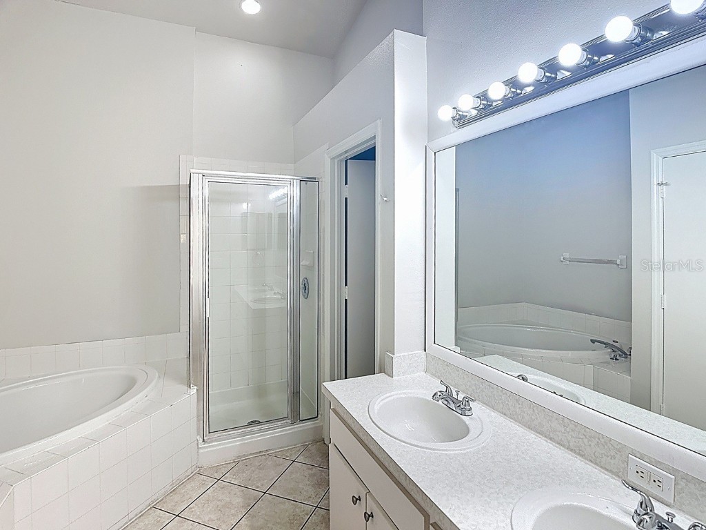 26800 Affirmed Drive Wesley Chapel FL 33544 TB8440313 image27