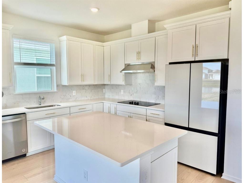 2681 Serenity Garden Drive Kissimmee FL 34744 S5140390 image8