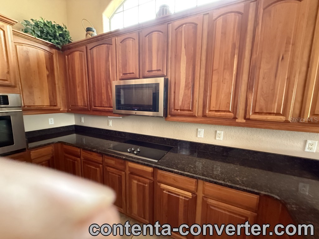 26812 Bella Vista Drive Howey In The Hills FL 34737 - LAKE HARRIS G5110013 image16
