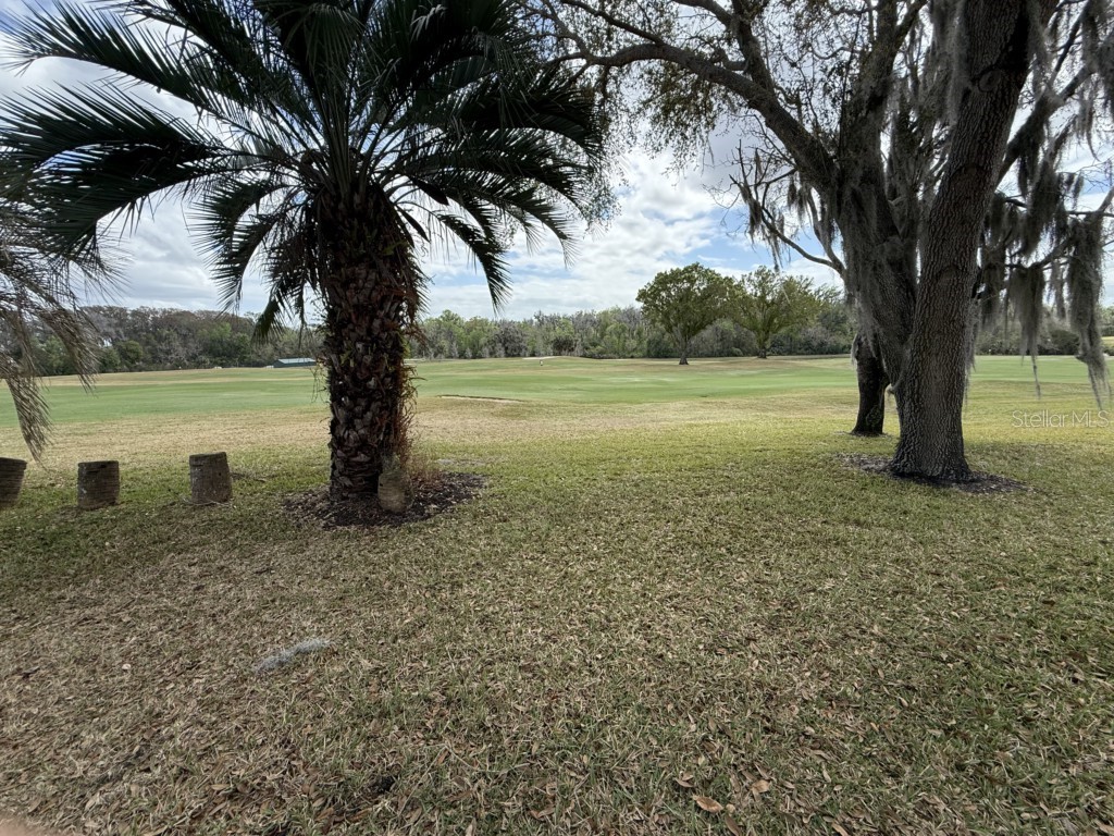 26812 Bella Vista Drive Howey In The Hills FL 34737 - LAKE HARRIS G5110013 image4
