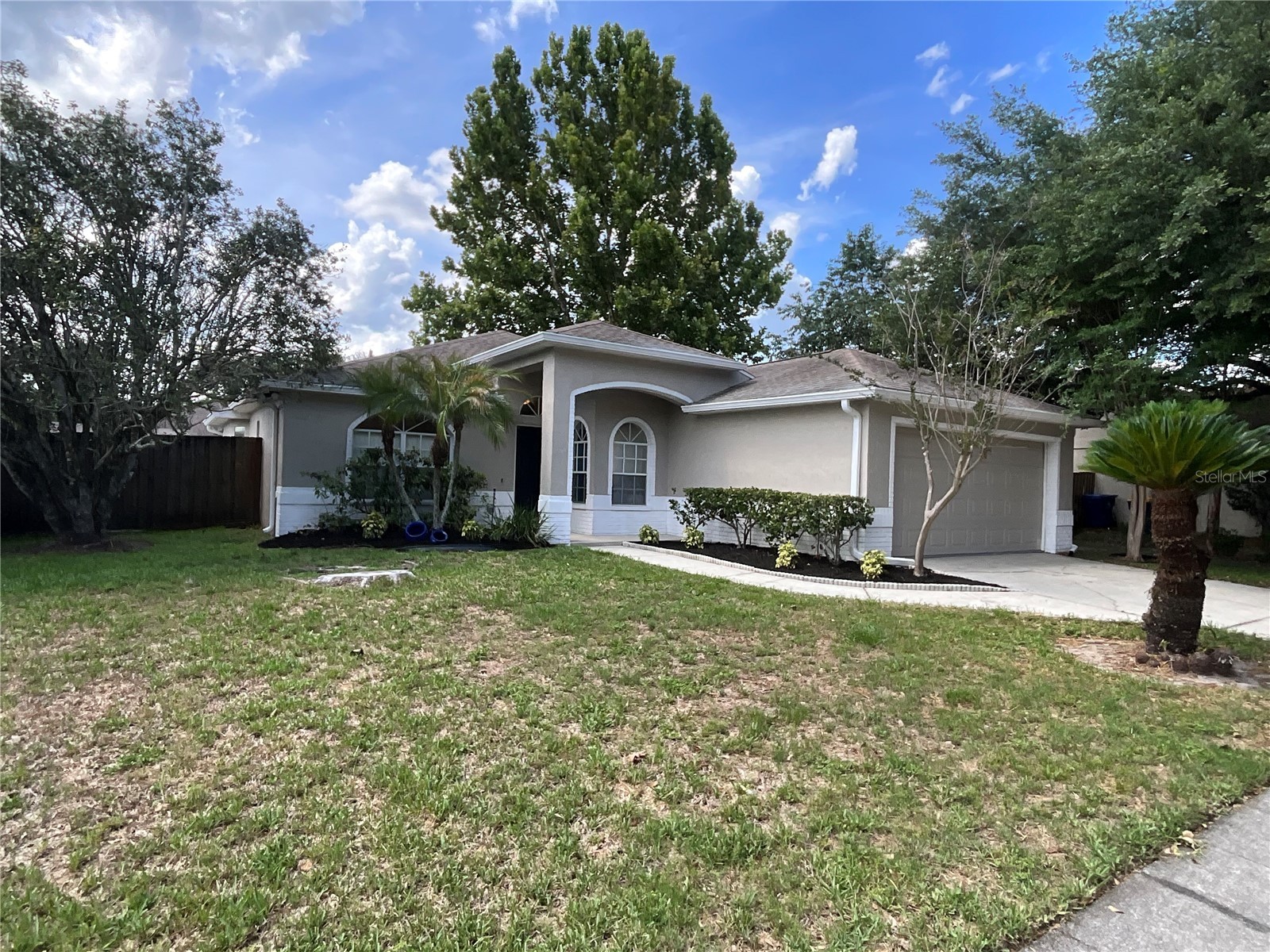 26815 Roseann Place Lutz FL 33559 TB8511878 image1