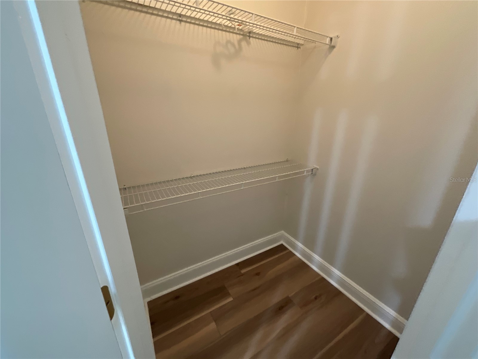 26815 Roseann Place Lutz FL 33559 TB8511878 image20