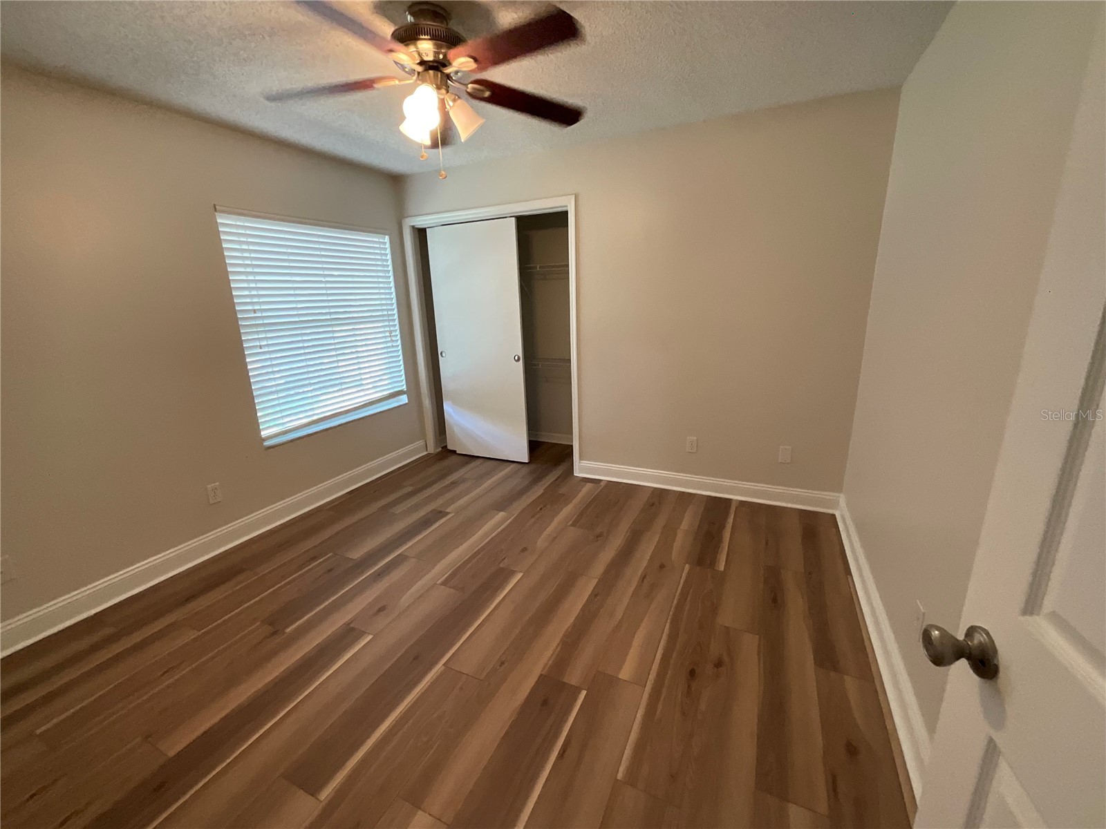 26815 Roseann Place Lutz FL 33559 TB8511878 image27