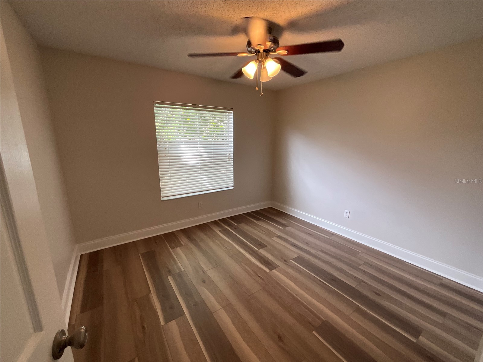 26815 Roseann Place Lutz FL 33559 TB8511878 image28