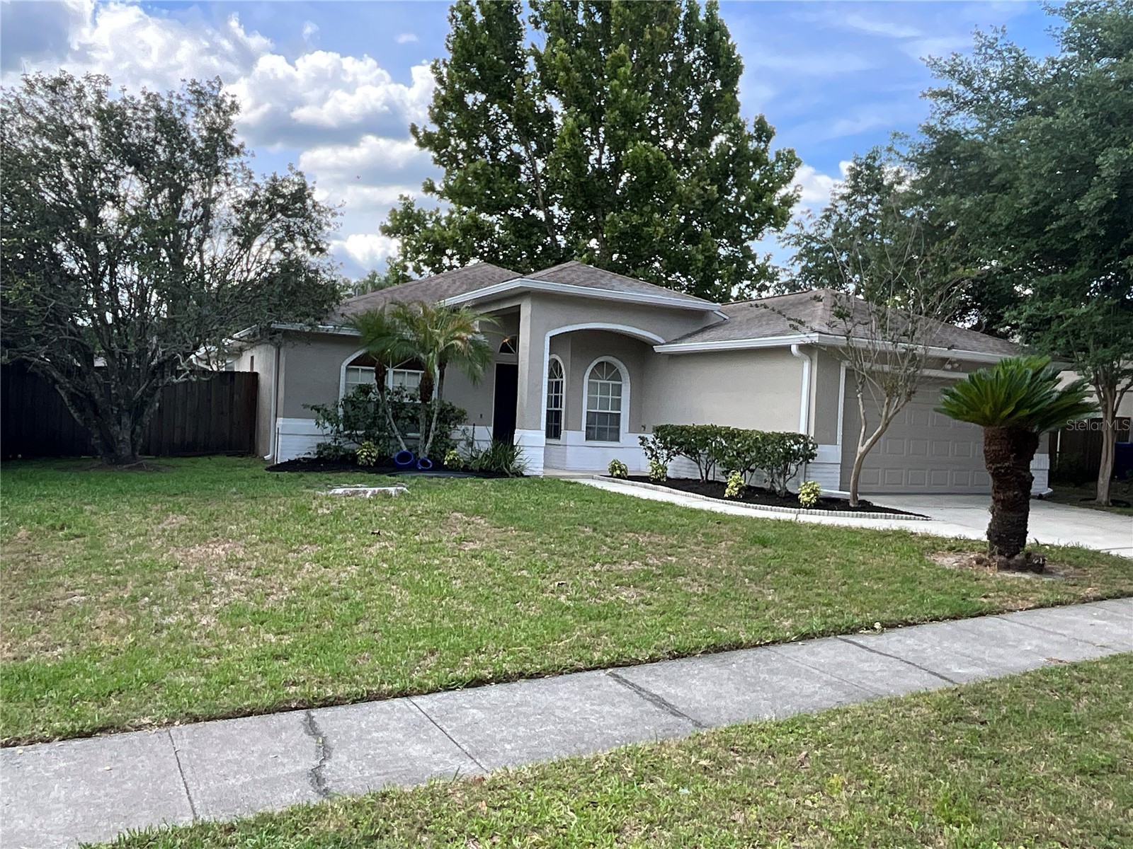 26815 Roseann Place Lutz FL 33559 TB8511878 image3