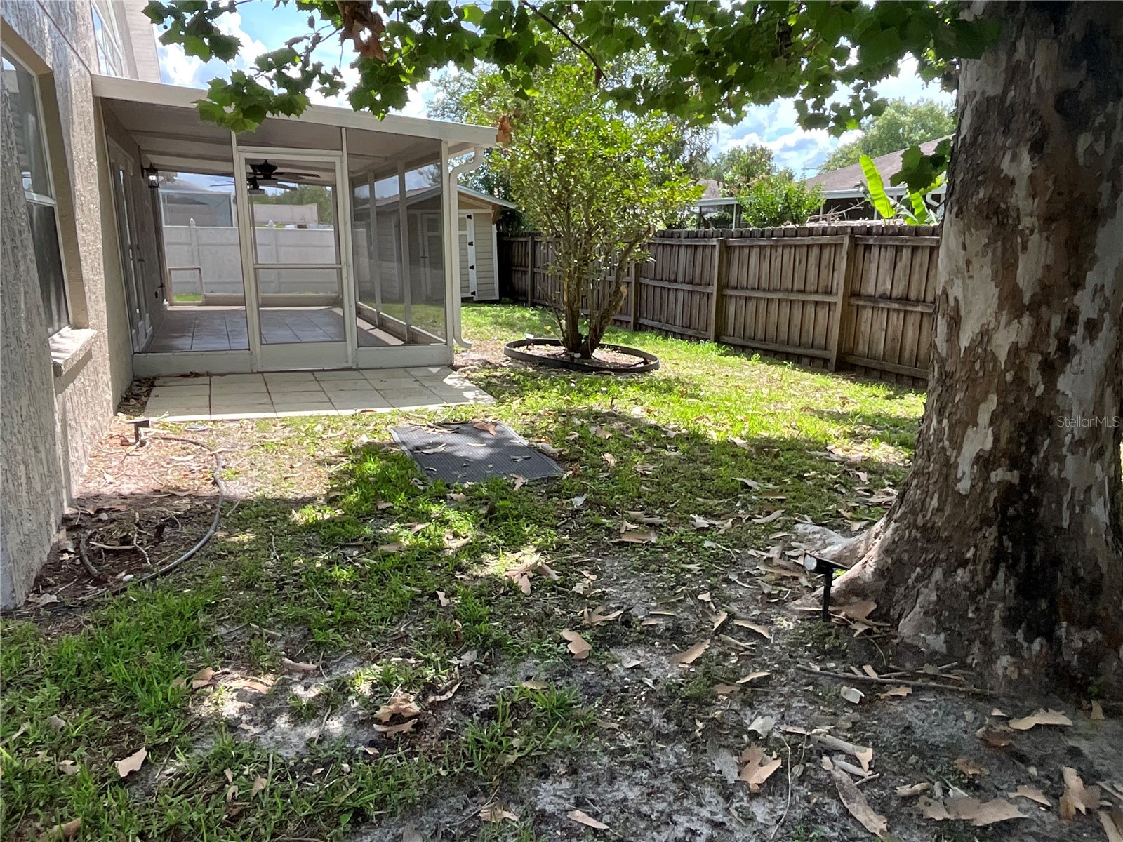 26815 Roseann Place Lutz FL 33559 TB8511878 image33