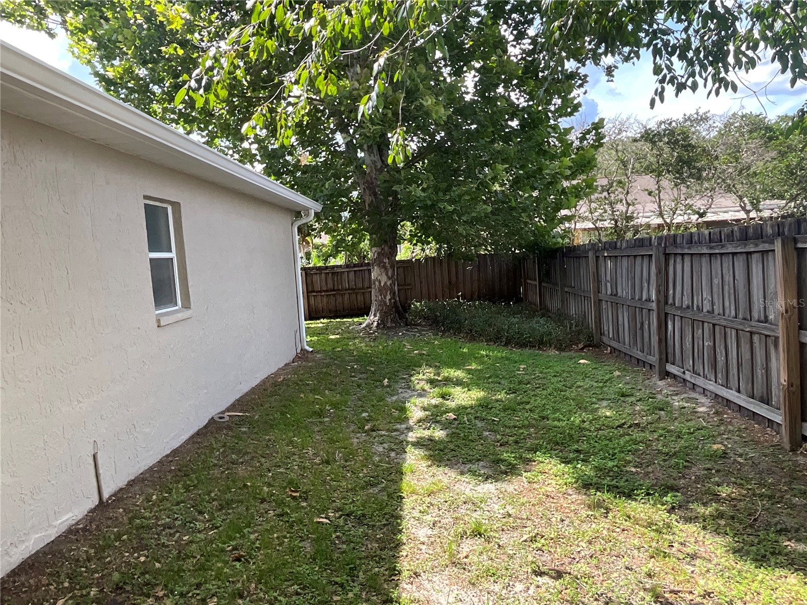 26815 Roseann Place Lutz FL 33559 TB8511878 image34