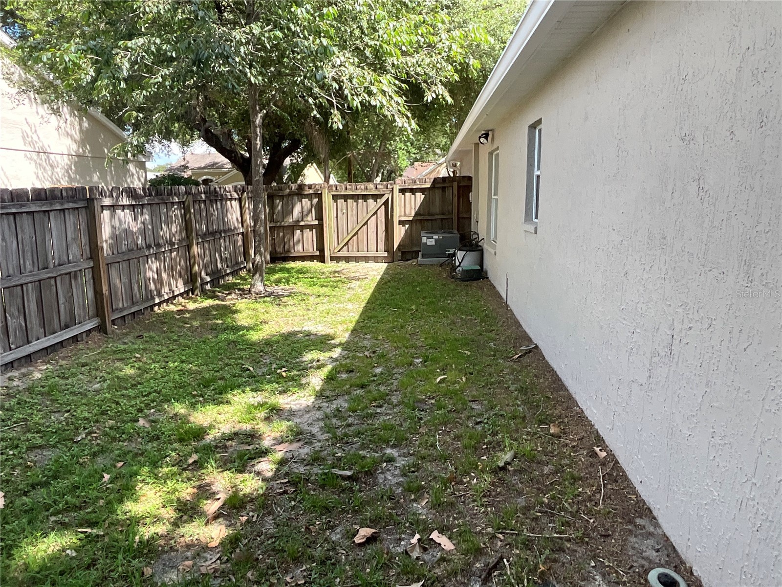 26815 Roseann Place Lutz FL 33559 TB8511878 image39