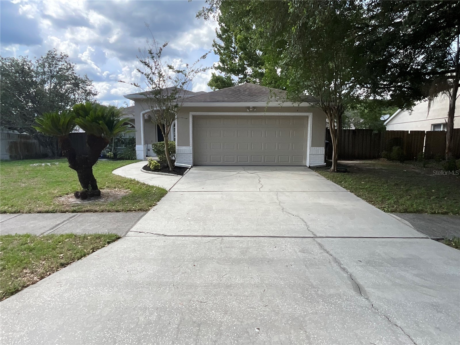 26815 Roseann Place Lutz FL 33559 TB8511878 image6