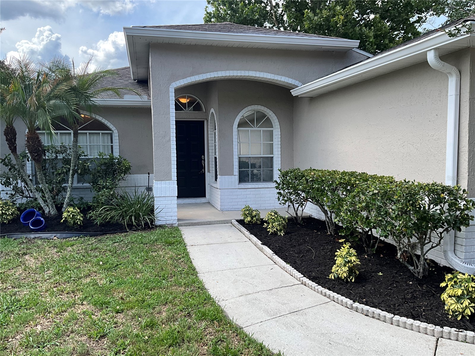 26815 Roseann Place Lutz FL 33559 TB8511878 image7