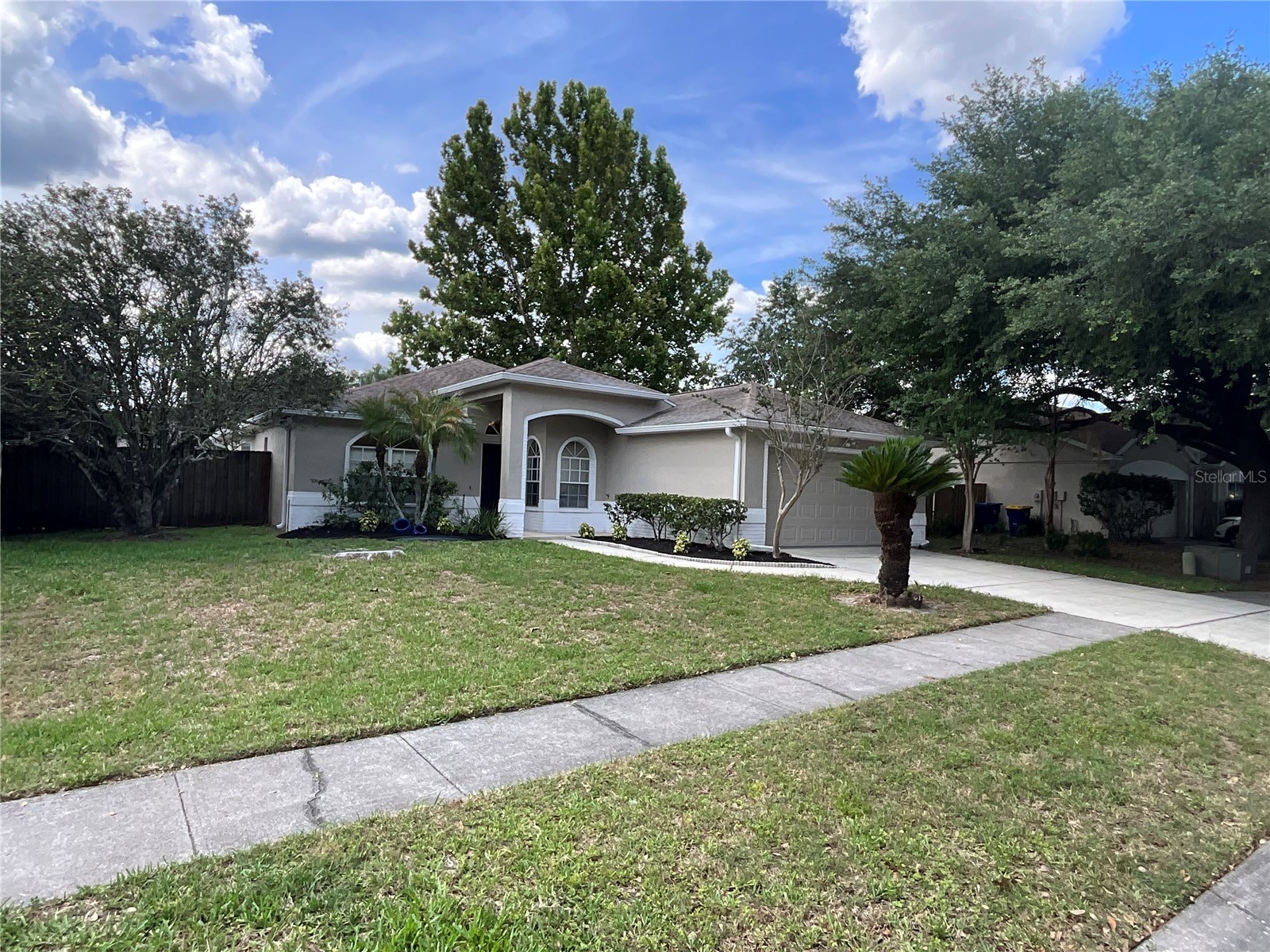 26815 Roseann Place Lutz FL 33559 TB8511878 image8