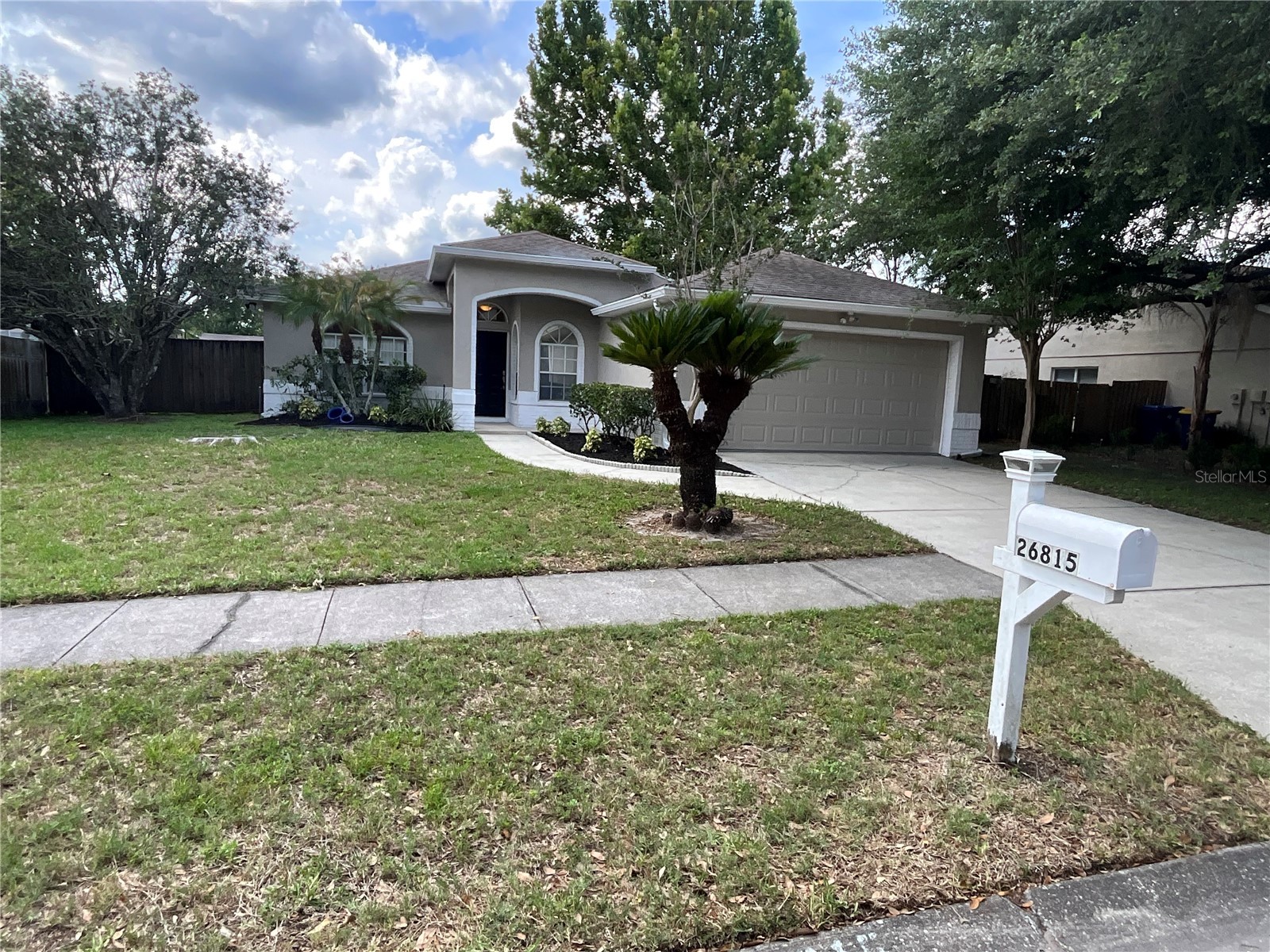 26815 Roseann Place Lutz FL 33559 TB8511878 image9