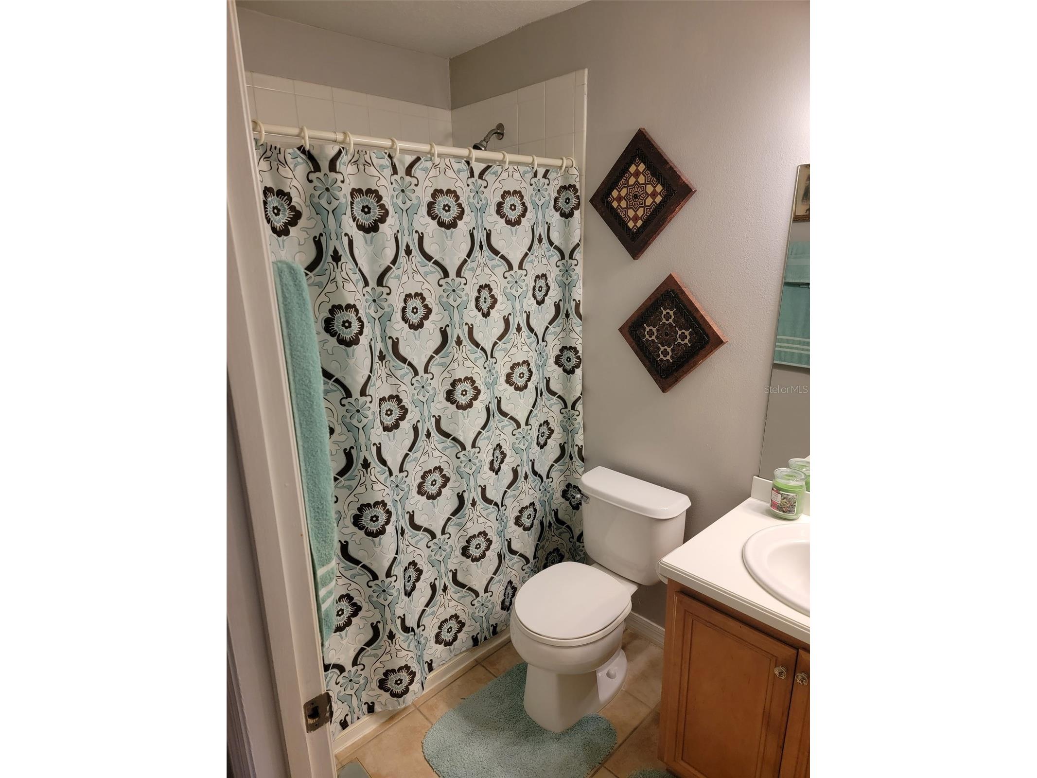 2682 Mayaguana Street Kissimmee FL 34747 O6383878 image12