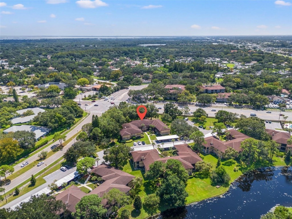 2682 Sabal Springs Circle #204 Clearwater FL 33761 TB8458092 image29