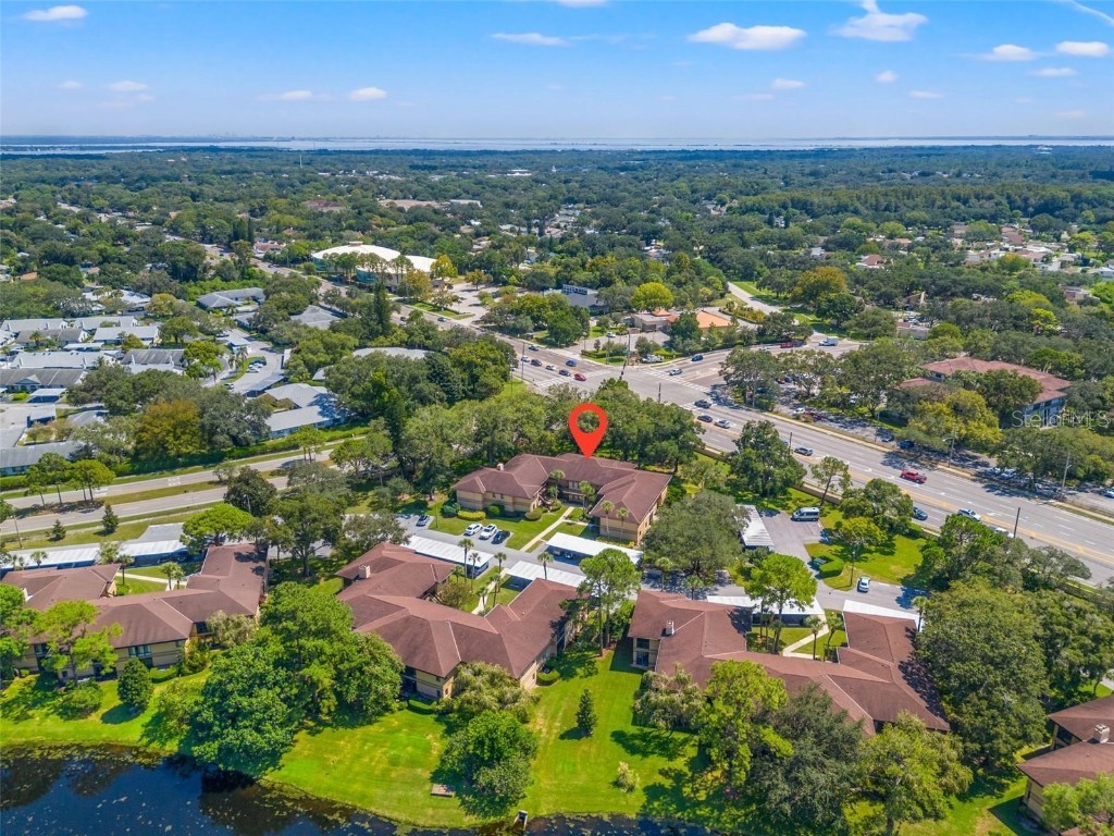 2682 Sabal Springs Circle #204 Clearwater FL 33761 TB8458092 image30