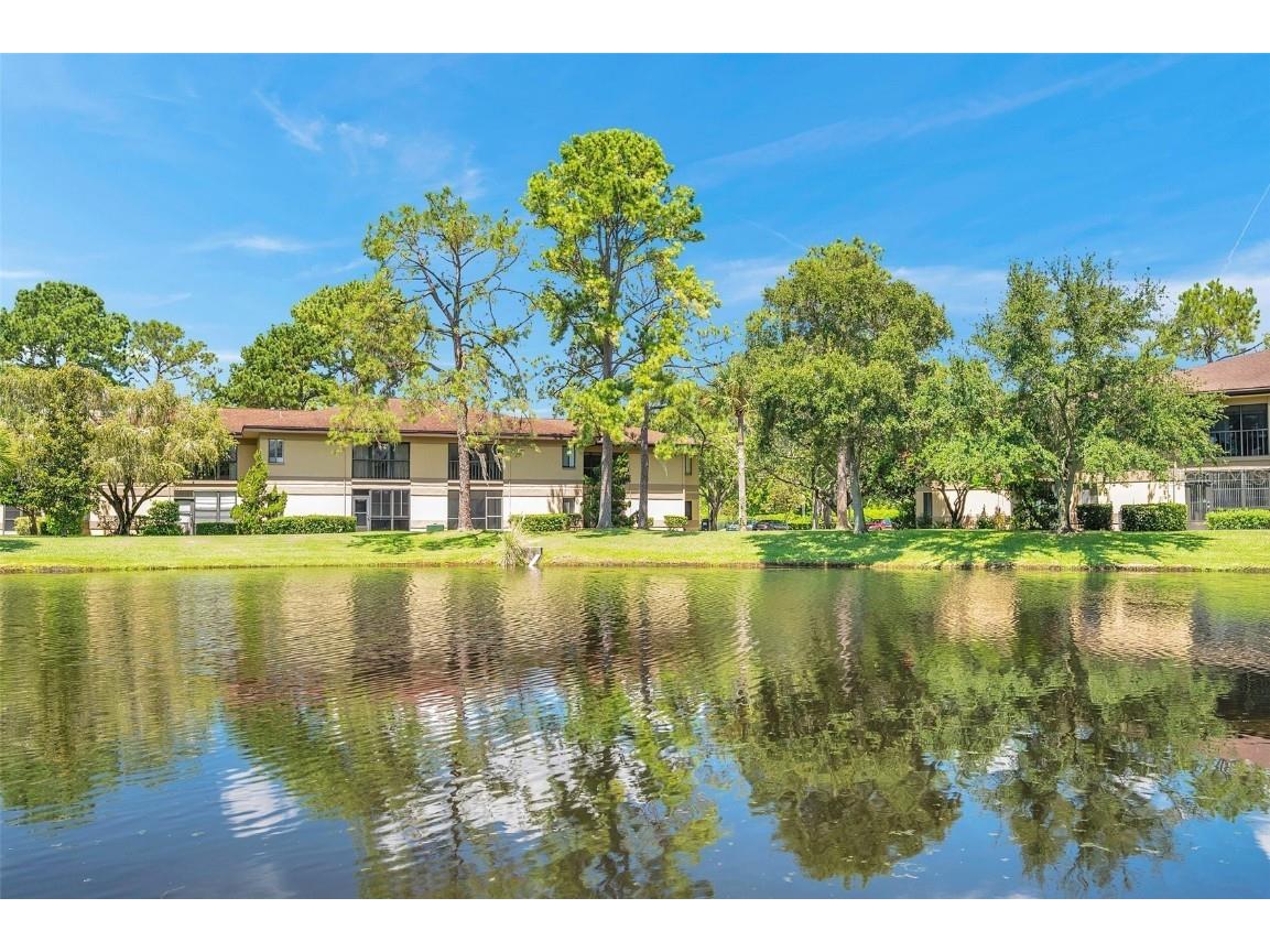 2682 Sabal Springs Circle #204 Clearwater FL 33761 TB8458092 image31