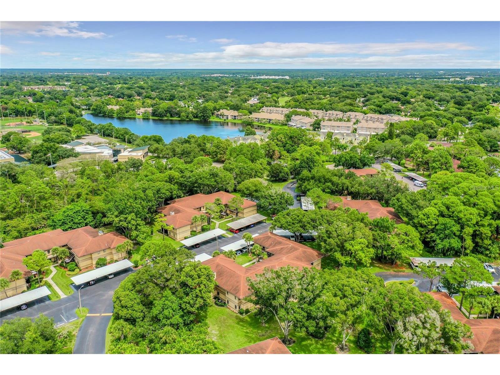 2682 Sabal Springs Circle #204 Clearwater FL 33761 TB8478252 image41