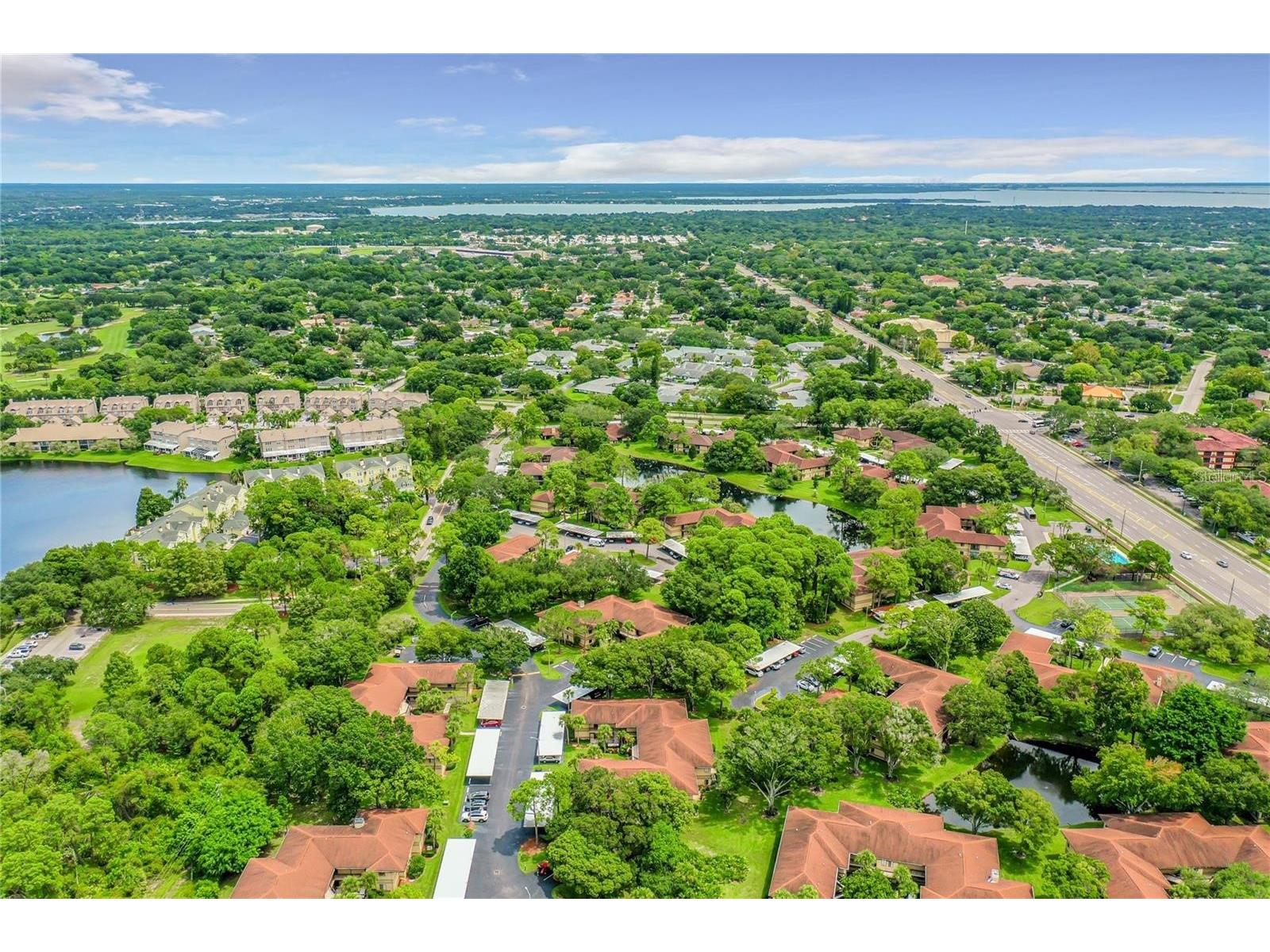 2682 Sabal Springs Circle #204 Clearwater FL 33761 TB8478252 image42
