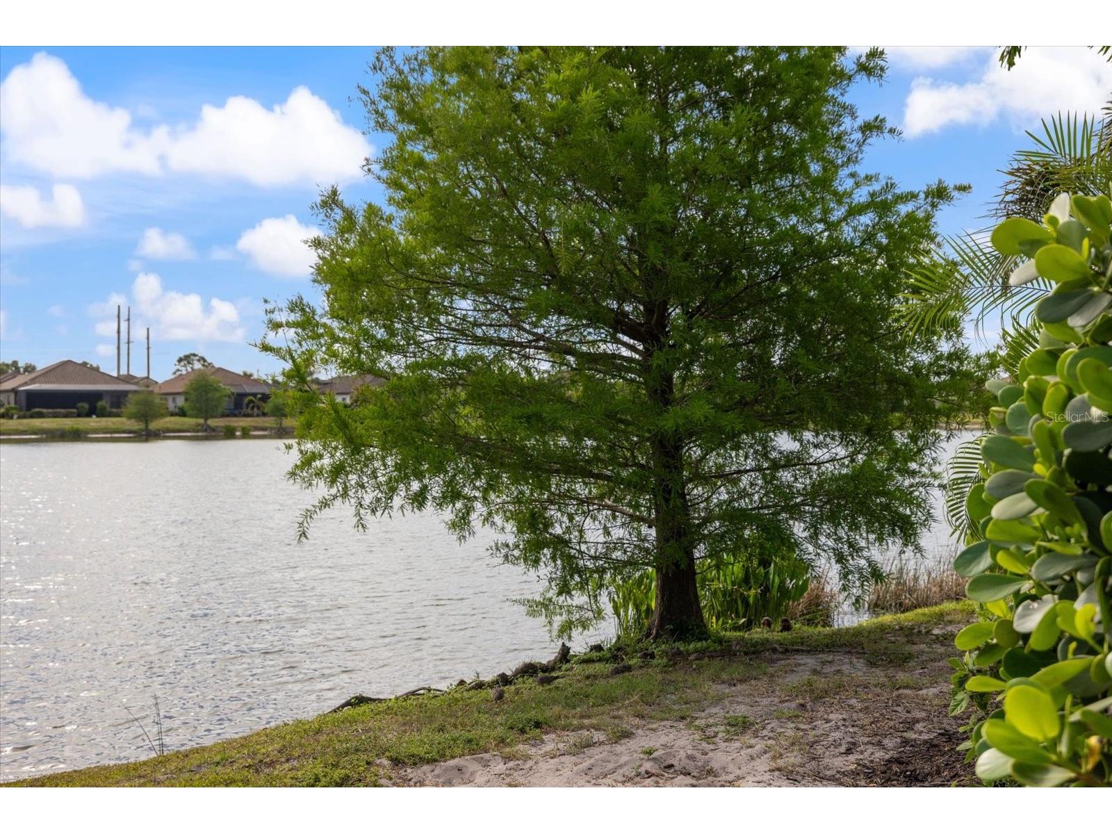 26821 Weiskopf Drive Englewood FL 34223 A4691137 image45
