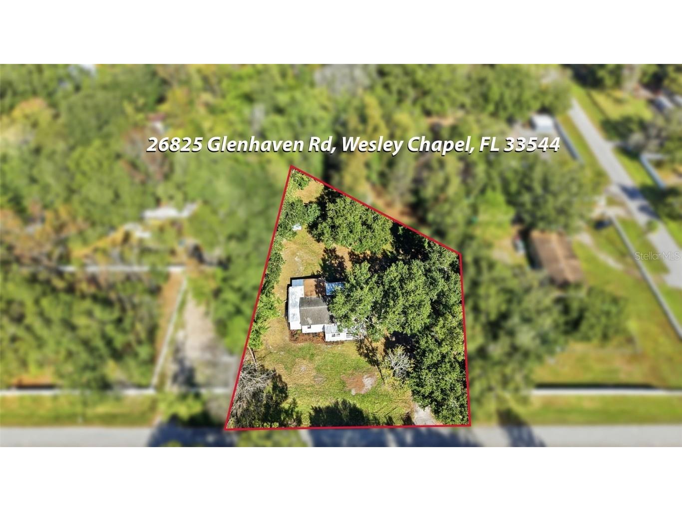 26825 Glenhaven Road Wesley Chapel FL 33544 TB8452828 image45