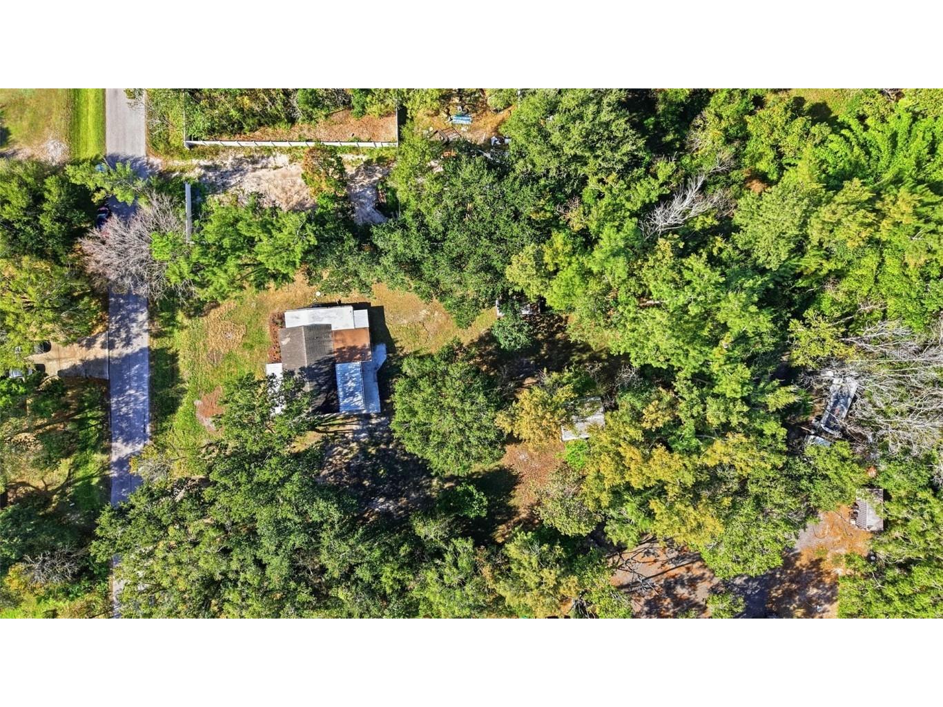 26825 Glenhaven Road Wesley Chapel FL 33544 TB8452828 image46