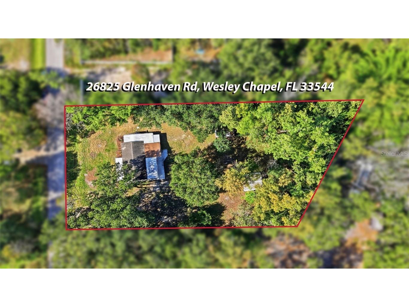 26825 Glenhaven Road Wesley Chapel FL 33544 TB8452828 image47