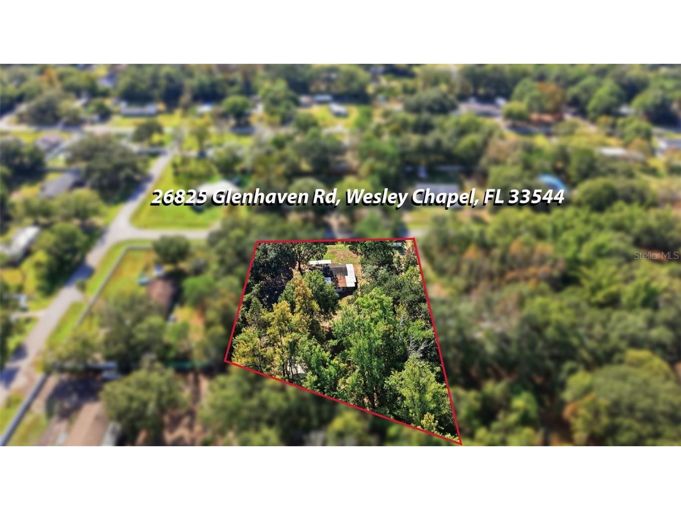 26825 Glenhaven Road Wesley Chapel FL 33544 TB8452828 image49