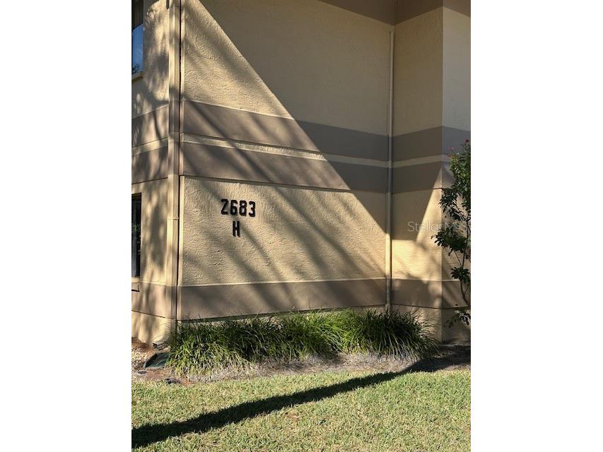 2683 Sabal Springs Circle #101 Clearwater FL 33761 TB8470828 image3