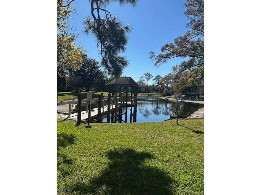 2683 Sabal Springs Circle #101 Clearwater FL 33761 TB8470828 image43