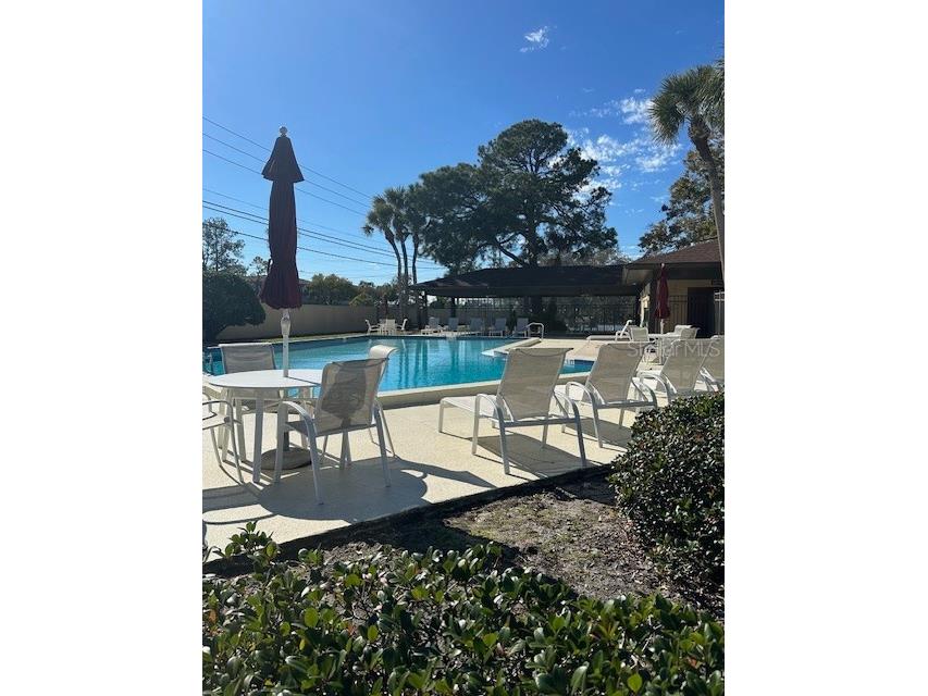 2683 Sabal Springs Circle #101 Clearwater FL 33761 TB8470828 image46