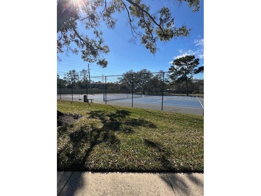 2683 Sabal Springs Circle #101 Clearwater FL 33761 TB8470828 image48