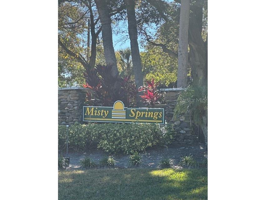 2683 Sabal Springs Circle #101 Clearwater FL 33761 TB8470828 image50