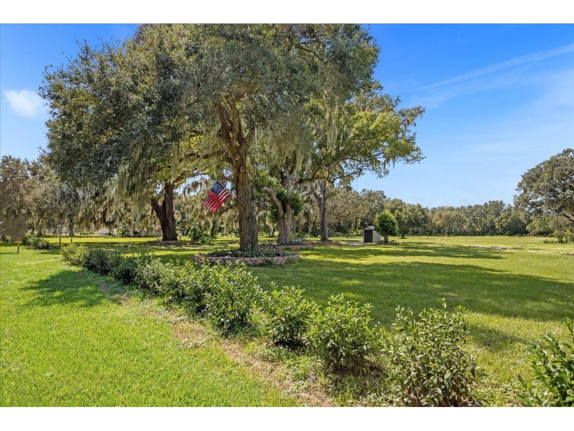 26831 Bloomfield Avenue Yalaha FL 34797 G5090073 image1