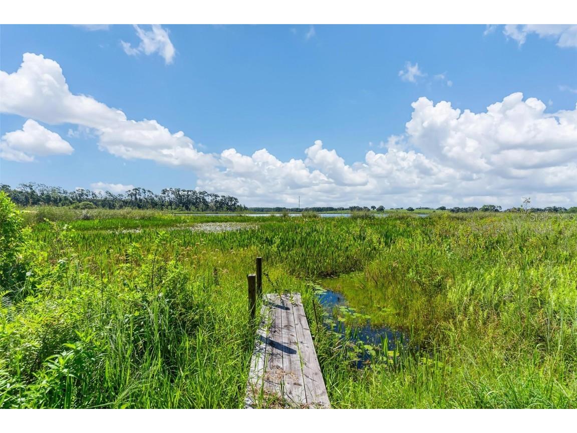 26833 Anderson Ranch Road Yalaha FL 34797 G5100895 image3