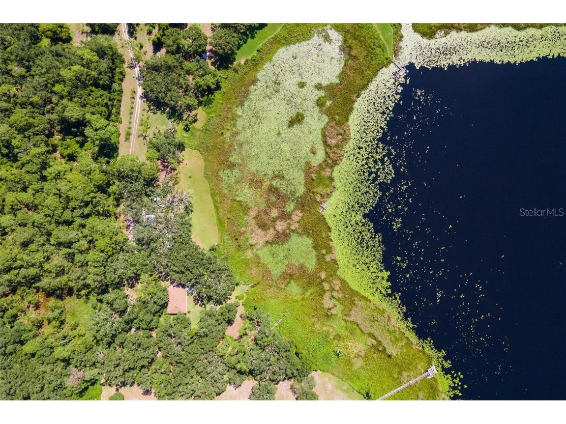 26833 Anderson Ranch Road Yalaha FL 34797 G5100895 image40