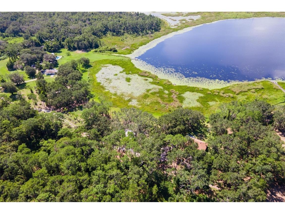 26833 Anderson Ranch Road Yalaha FL 34797 G5100895 image44