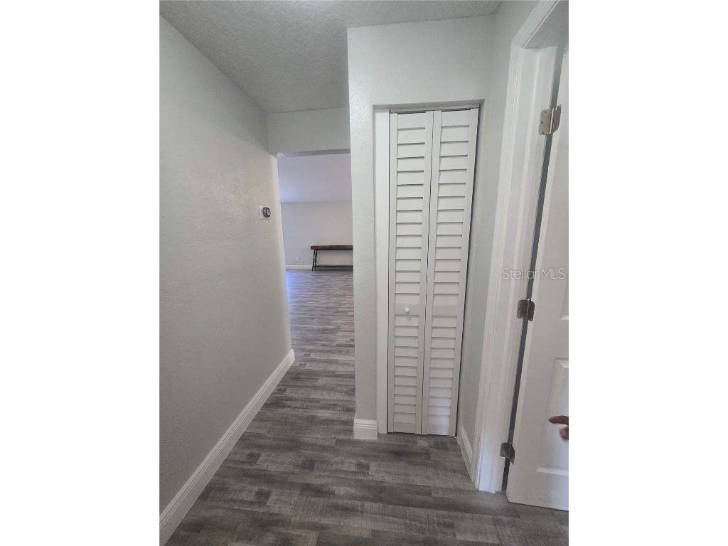 26838 Deacon Loop Wesley Chapel FL 33544 TB8454345 image29