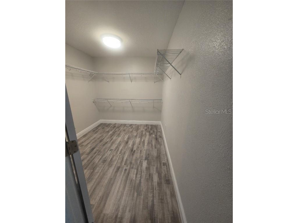 26838 Deacon Loop Wesley Chapel FL 33544 TB8454345 image41