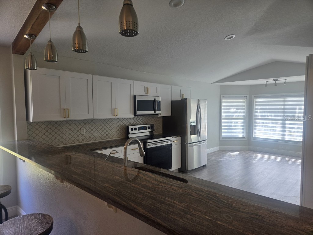 26838 Deacon Loop Wesley Chapel FL 33544 TB8454345 image5