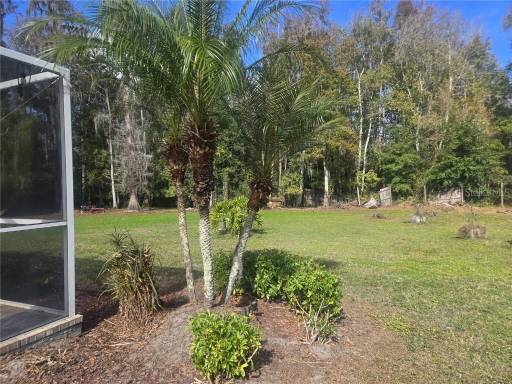 26838 Deacon Loop Wesley Chapel FL 33544 TB8454345 image53