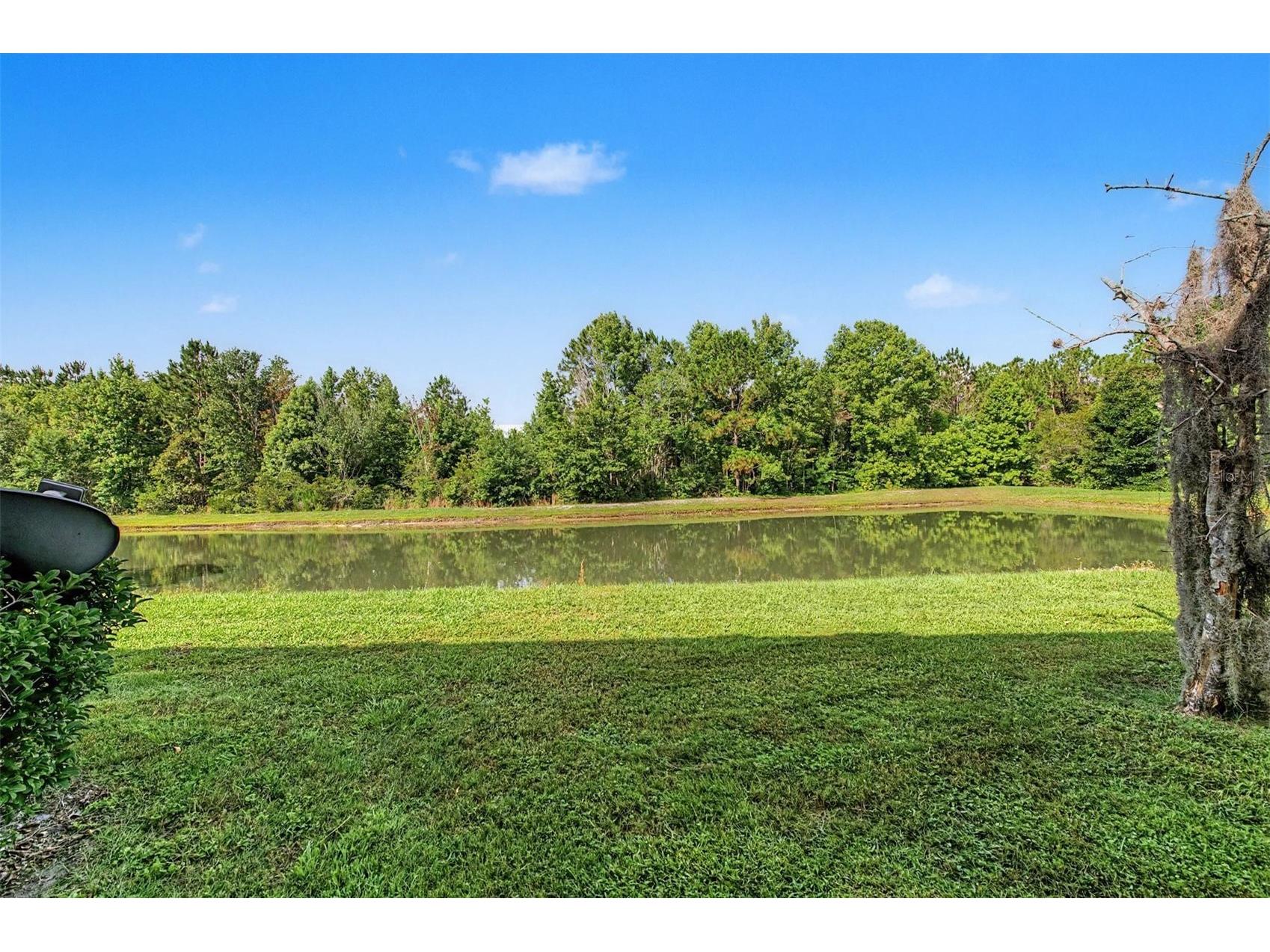 26838 Juniper Bay Drive Wesley Chapel FL 33544 TB8514836 image2
