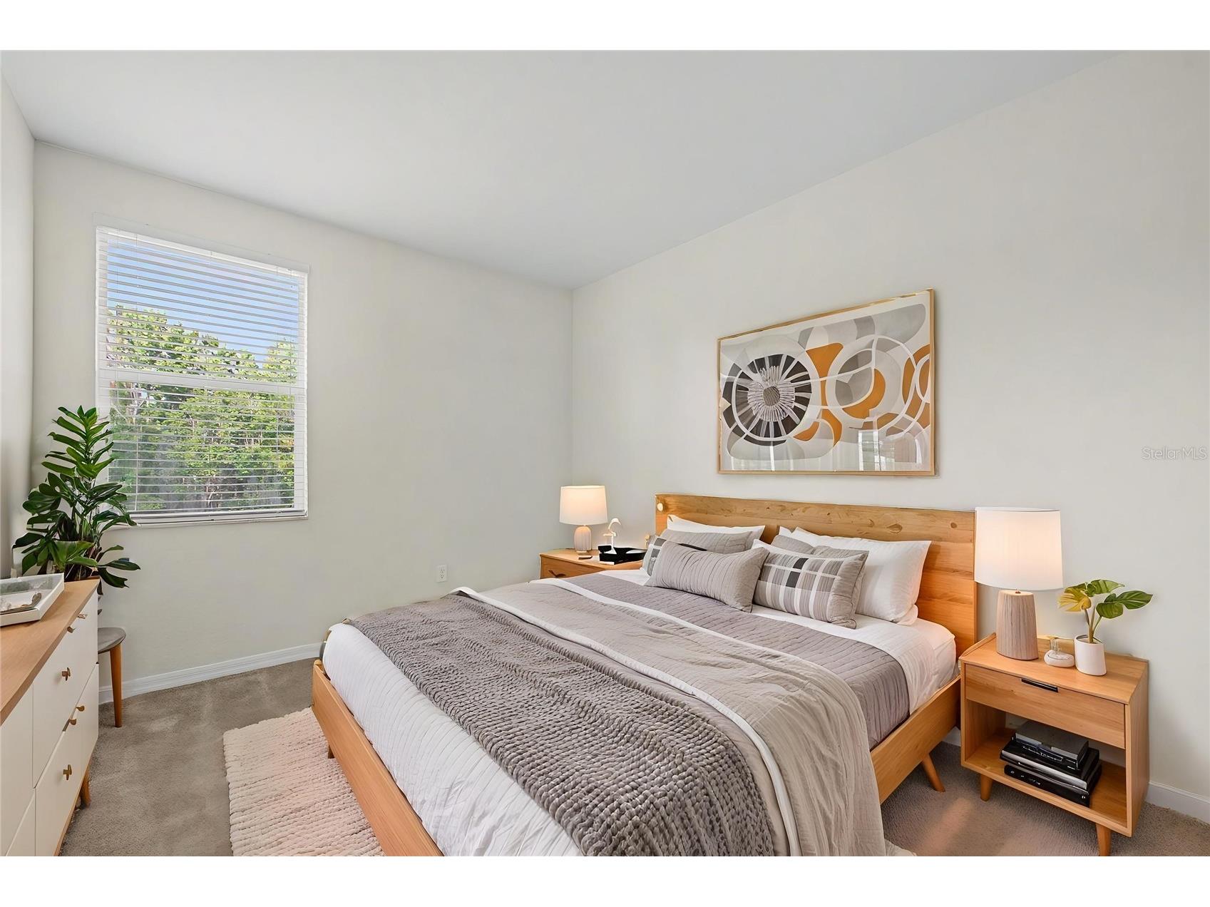 26838 Juniper Bay Drive Wesley Chapel FL 33544 TB8514836 image23