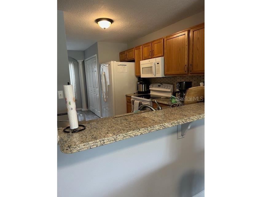 2684 Emerald Lake Court #2684 Kissimmee FL 34744 S5136501 image10