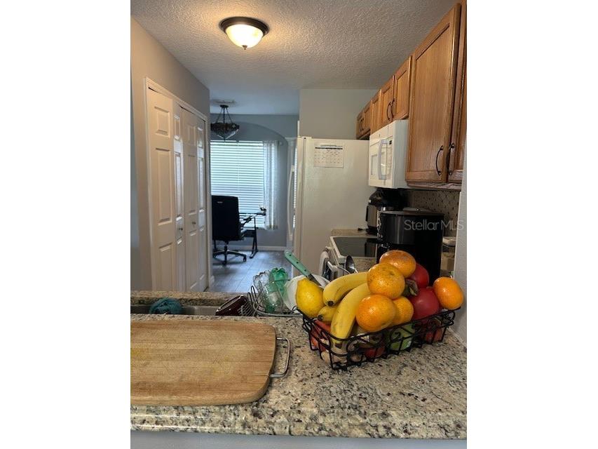 2684 Emerald Lake Court #2684 Kissimmee FL 34744 S5136501 image12